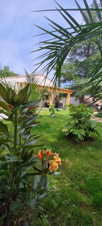 Gite Les 2 Cedres Vila Cardet Exterior foto